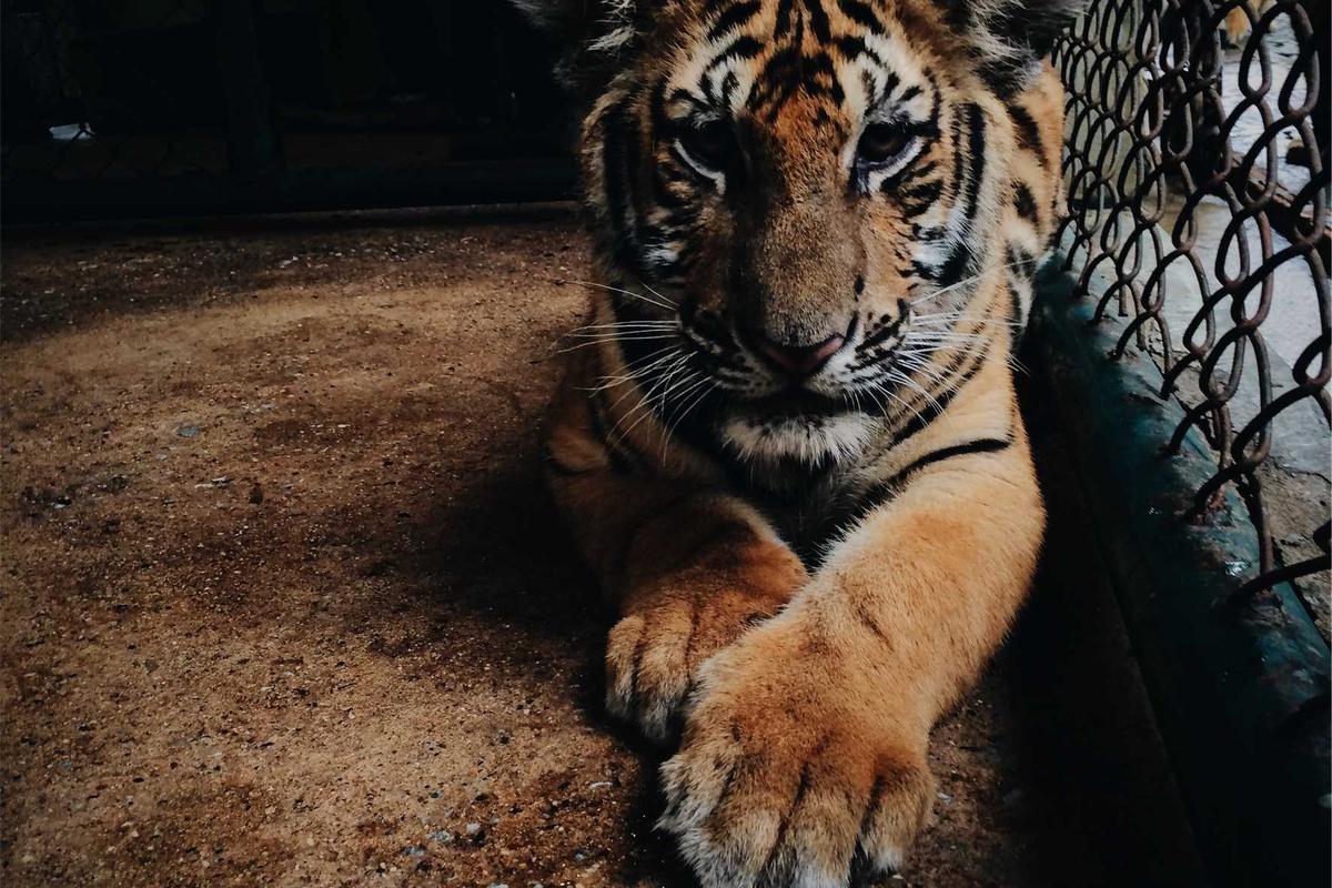 글로벌 건축 잡지 'SPACE' 내지 공급